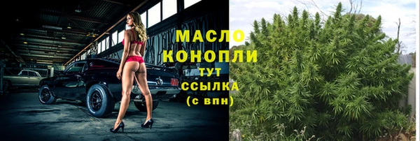 mix Богородицк