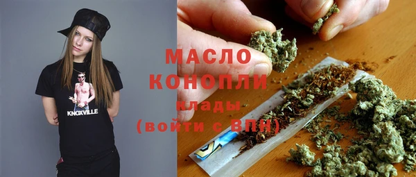 mix Богородицк